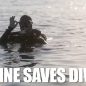 Riptide Marines Save Divers in Japan