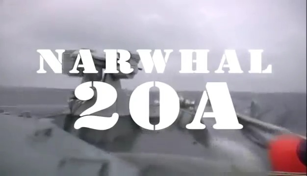 NARWHAL Stabilized Remotely Controlled Naval Weapon Station