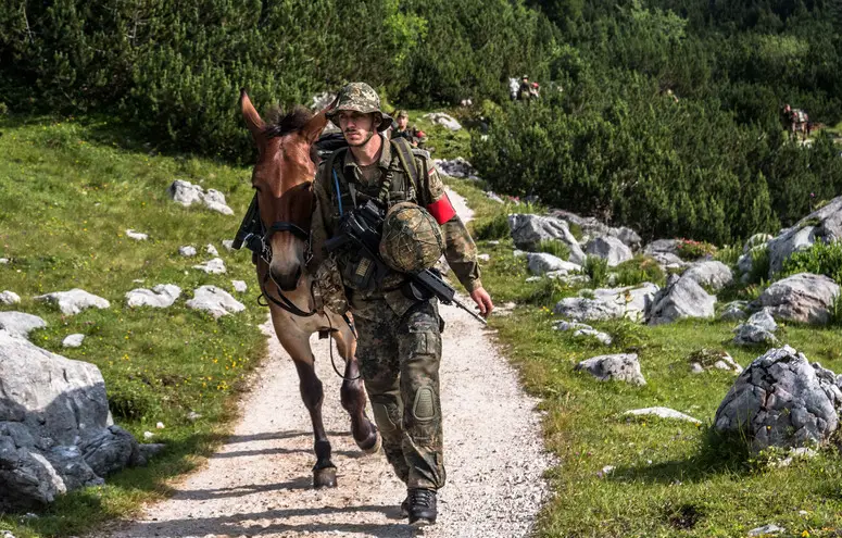 Member of the German Mountain Infantry Brigade leads mule during exercise Mountain Lion. 