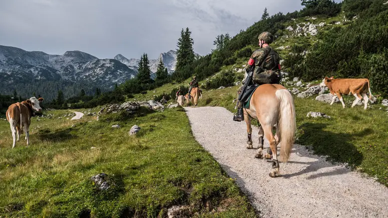 Members of the German Mountain Infantry Brigade ride on horseback in the Alps during exercise Mountain Lion. 