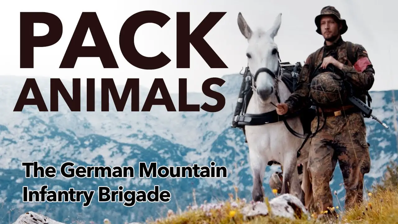 Meet The German Mountain Infantry Brigade and its four-legged companions
