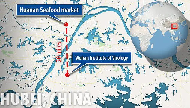 China's highest-grade lab for studying viruses is located in Wuhan, the same city at the centre of the current coronavirus outbreak