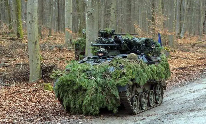 FFG Wins Contract for German Army's Wiesel 1 Weapon Carriers