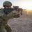 Australian Department of Defence Orders 8,500 Additional EF88 Assault Rifles
