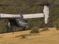 Saber Junction 20 Begins With Joint Force Air Assault