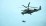 Russian Southern Military District Ka-52 attack helicopters