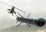 MBDA MAST-F Air-to-Surface Missile