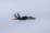 US Air Force Boeing F-15EX Eagle II Takes to Alaska Skies for Deep End Test