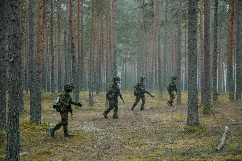 Estonia's Spring Storm Culminates Military Training Exercise with Tactical Live-fire Shooting Drills