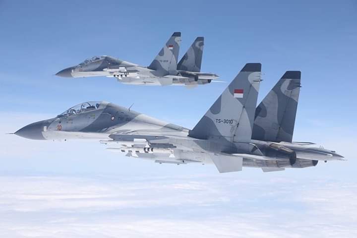 Indonesia Air Force Su 30 with R27 and R73 AAM