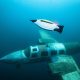 EvoLogics Presents Next-generation Quadroin Autonomous Underwater Vehicle (AUV)