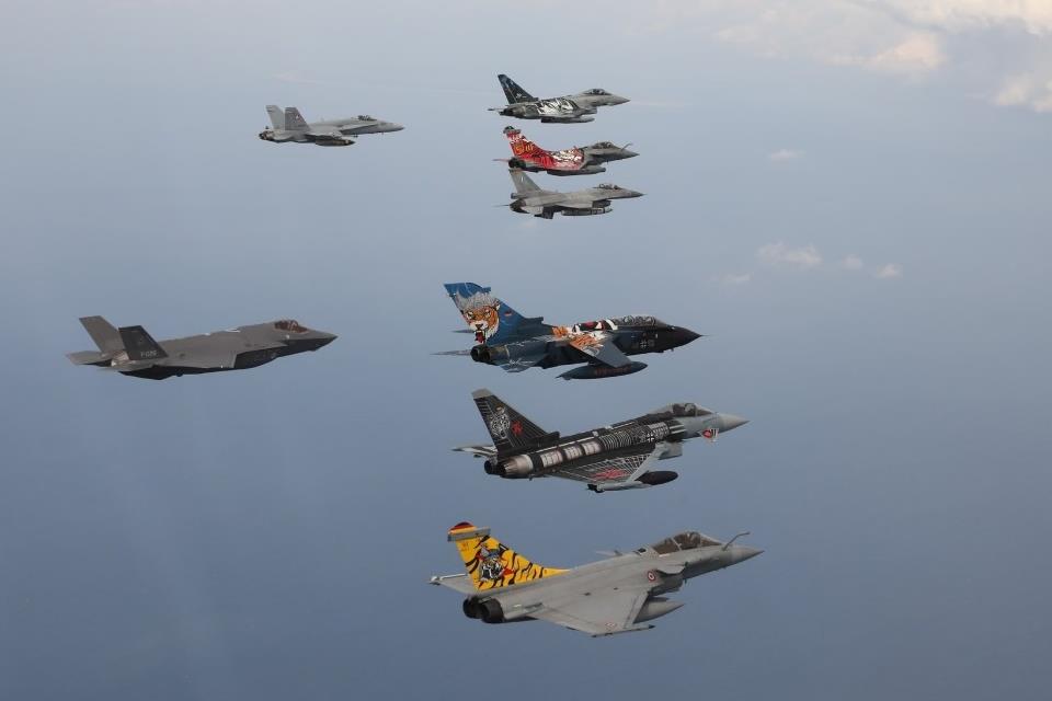 NATO Partner Switzerland Continues Tradition of Flying with Tiger Squadrons