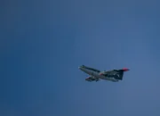 Airbus’ Uncrewed Bird of Prey Interceptor Autonomously Engages Kamikaze Drone with Frankenburg Missile