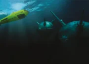 Exail and JFD Partner to Increase Resilience in Future UK Mine Countermeasure Capability