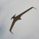 Aeronautics Awarded Contract with NATO Member for Orbiter 3 Unmanned Aerial Systems (UAS)