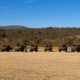 French Army Showcases SCORPION Modernisation at Canjuers Training Centre