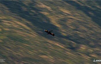 Anduril and Department of War Sign Framework Agreement for Air-Launched Barracuda-500