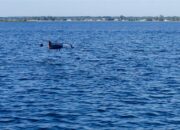 REGENT Advances Squire Seaglider Drone Toward Mission Readiness at Silent Swarm Event