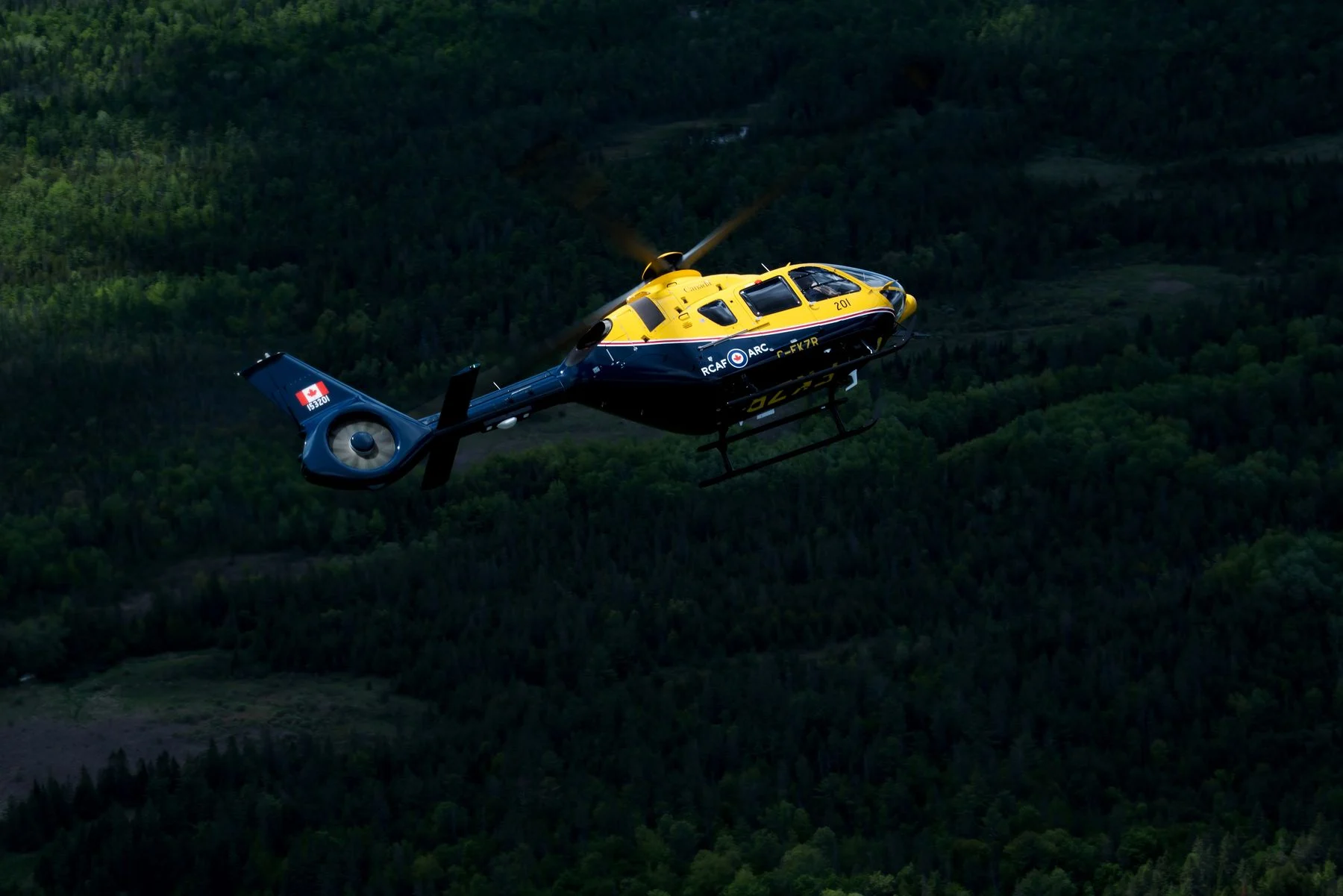 Royal Canadian Air Force’s CT-153 Juno twin-engine light utility helicopter. (Photo by Airbus Helicopter)